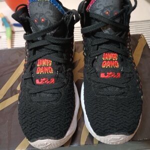 Lebron James shoes